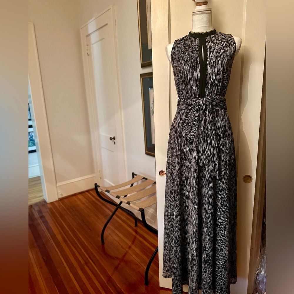 Alice and Olivia long dress size 6